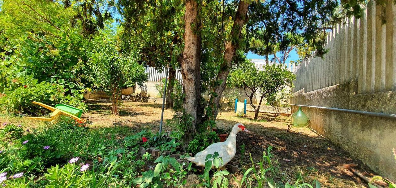 Villa Nella Collina Francavillese Francavilla Al Mare Bagian luar foto